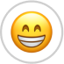 Alt image