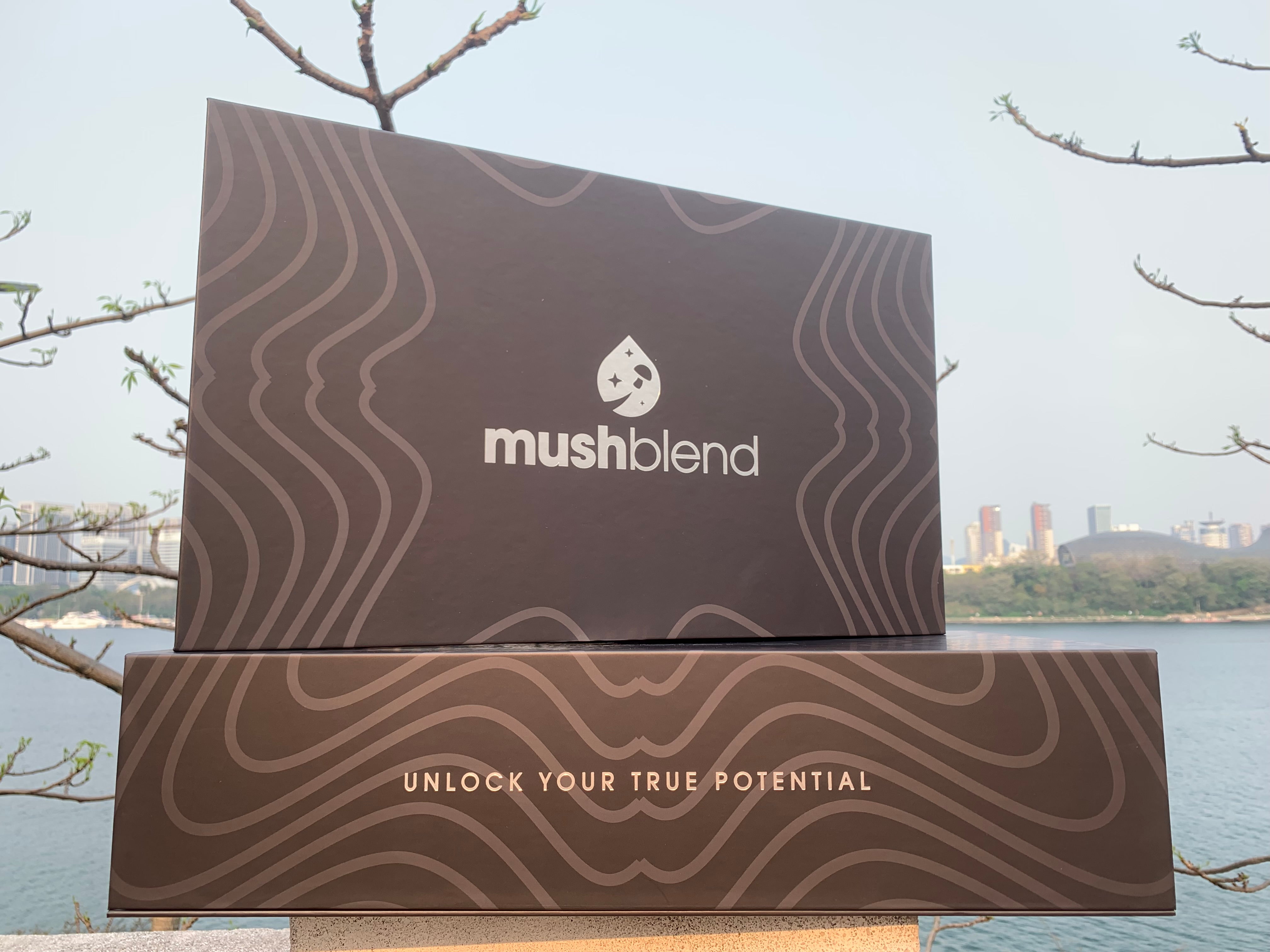 Mushblend Goodies