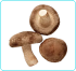 Alt image
